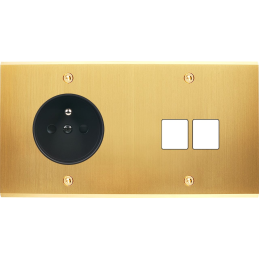 Placa del interruptor...