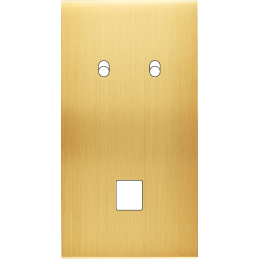 Placa del interruptor...