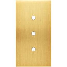 Placa del interruptor...