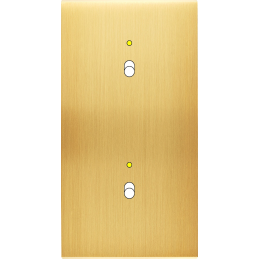 Façade Confidence laiton...