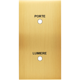 Placa del interruptor...