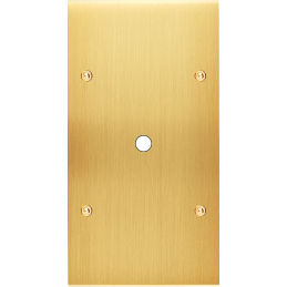 Placa del interruptor...