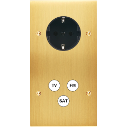 Placa del interruptor...