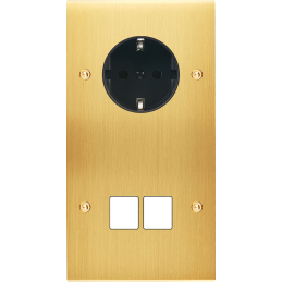 Placa del interruptor...