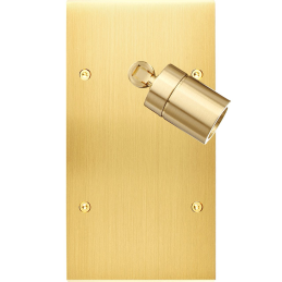 Placa de interrutor...