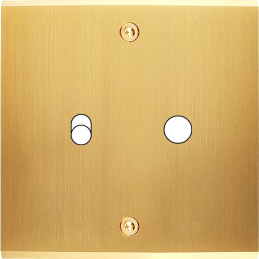 Switch plate Confidence...