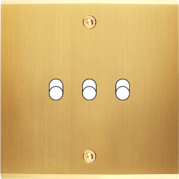 Placa del interruptor...