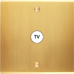 Switch plate Confidence...