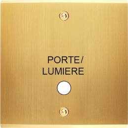 Placa de interrutor...