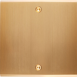 Switch plate Confidence...