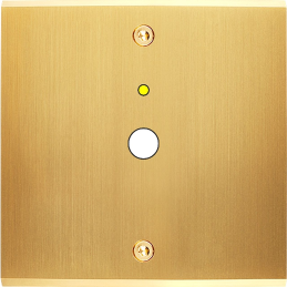 Switch plate Confidence...