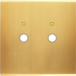 Switch plate Confidence...