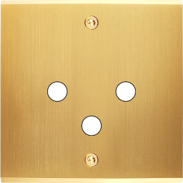 Placa del interruptor...