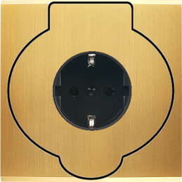 Placa del interruptor...