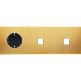 Placa del interruptor...
