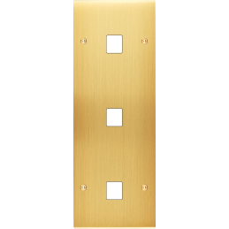 Placa del interruptor...