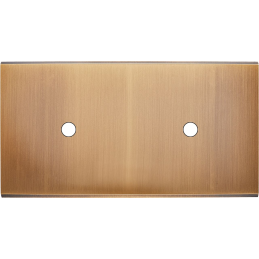 Placa del interruptor...