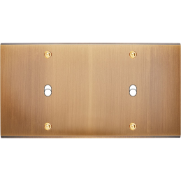 Placa del interruptor...