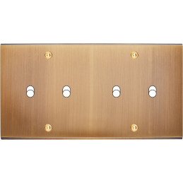 Placa del interruptor...