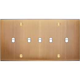 Placa del interruptor...