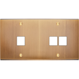 Placa del interruptor...