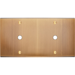 Placa del interruptor...