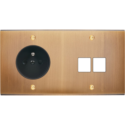 Placa del interruptor...