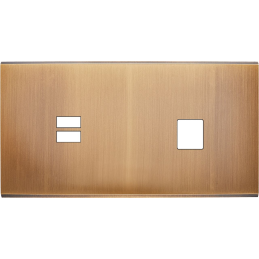 Placa del interruptor...