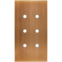 Placa del interruptor...