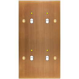 Placa de interrutor...