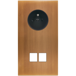 Placa del interruptor...