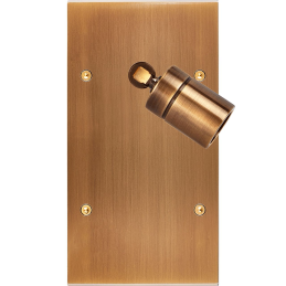 Placa del interruptor...