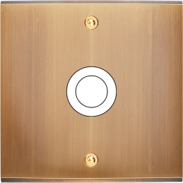 Switch plate Confidence...