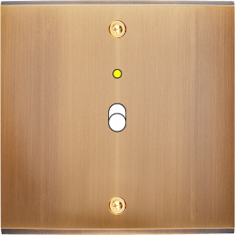 Switch plate Confidence...