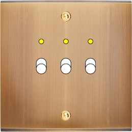 Placa del interruptor...