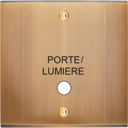 Placa del interruptor...