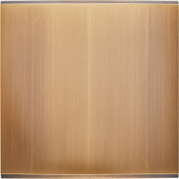 Placa del interruptor...