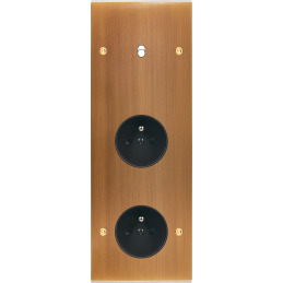 Placa del interruptor...