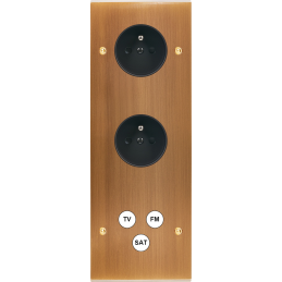 Placa del interruptor...