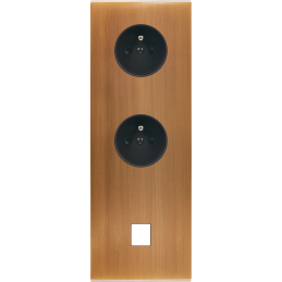 Placa del interruptor...