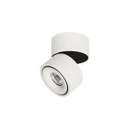 Wall light-ceiling light...
