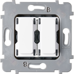 Mechanism double switch to...