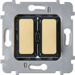 Mechanism double switch to...