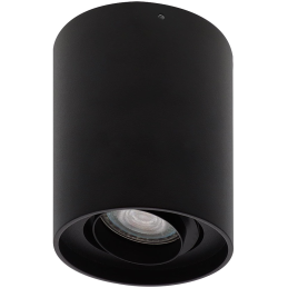 ALBA R GU10 max 10W PAR16...