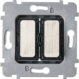 Mechanism double switch to...