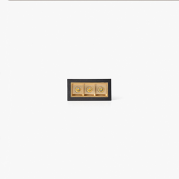 TROOP built-in 3x2W...