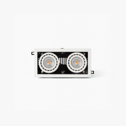 Nano Colin-2 incorporado...