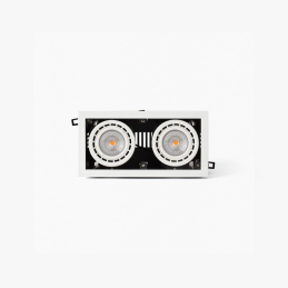 Nano Colin-2 incorporado...