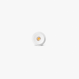 TEIDE module downlight...