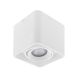 Luz de techo orientable...